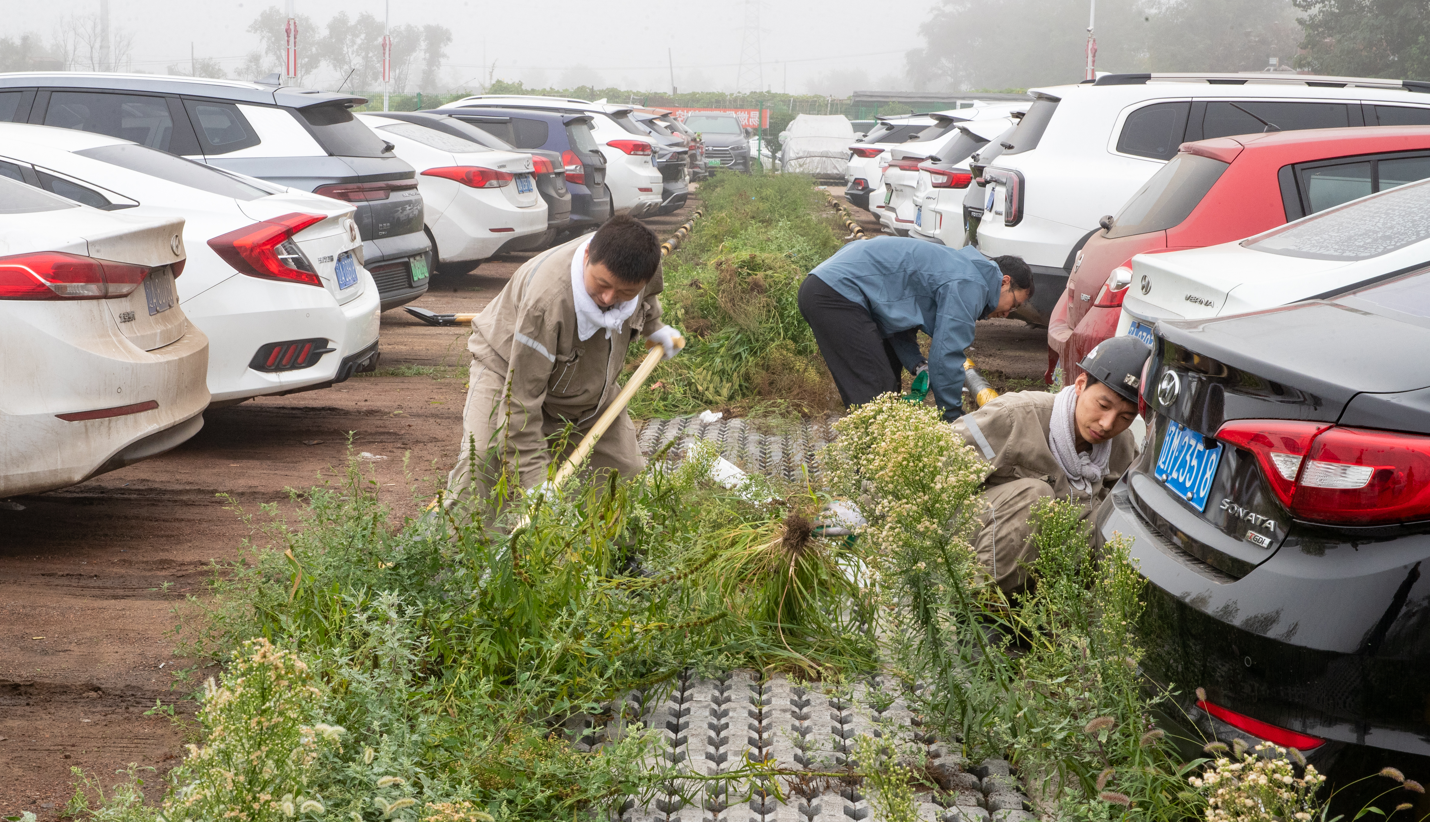 202509090853338924.jpg 202509090853338924.jpg