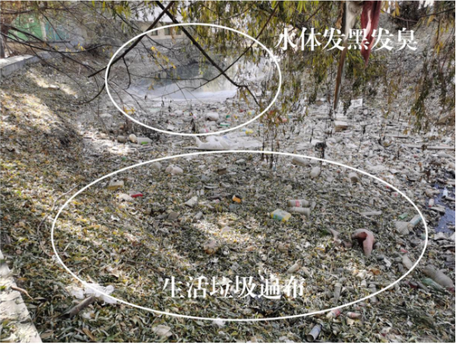 202204290832017383.png 202204290832017383.png