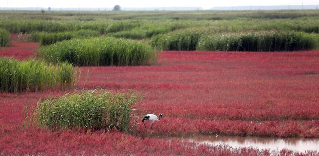 202206060939407417.jpeg 202206060939407417.jpeg