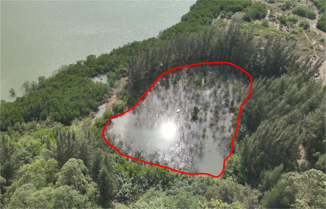 202312011628530548.png 202312011628530548.png