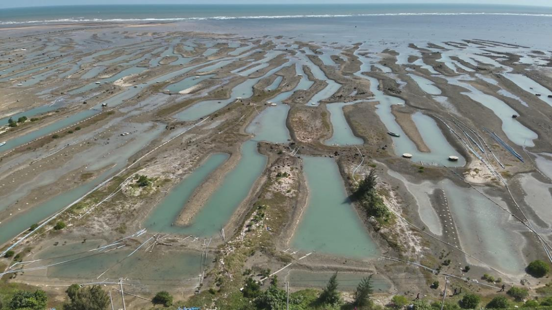 202312011630277954.png 202312011630277954.png