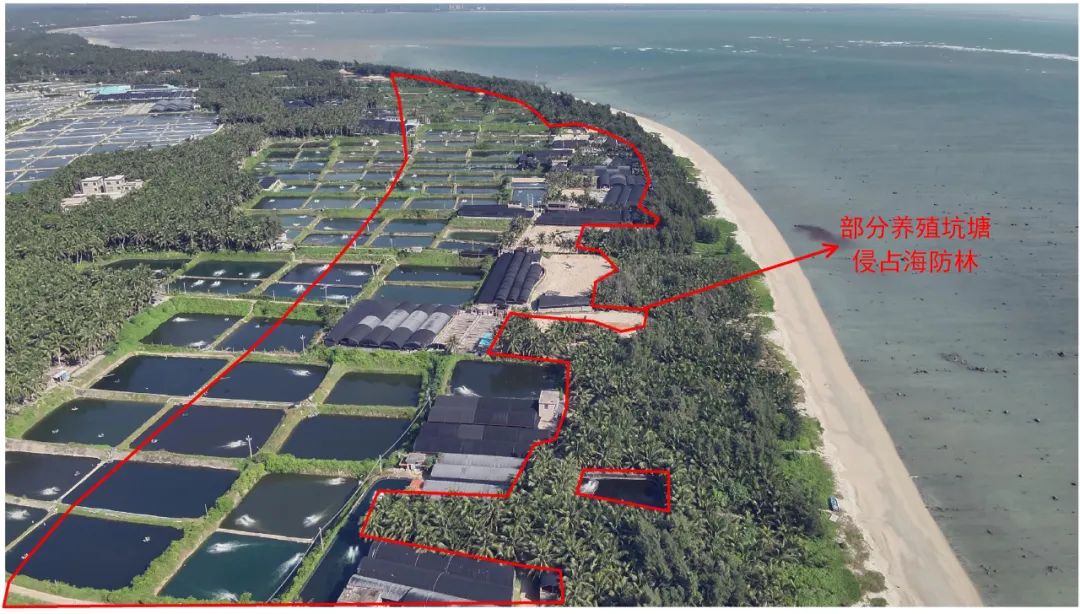 202312221244128410.jpg 202312221244128410.jpg