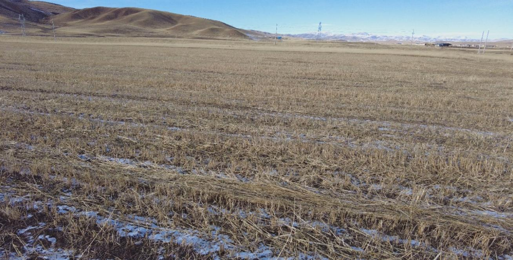 202312221251165011.png 202312221251165011.png