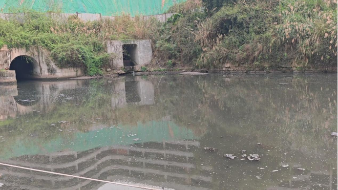 202405271215318631.png 202405271215318631.png