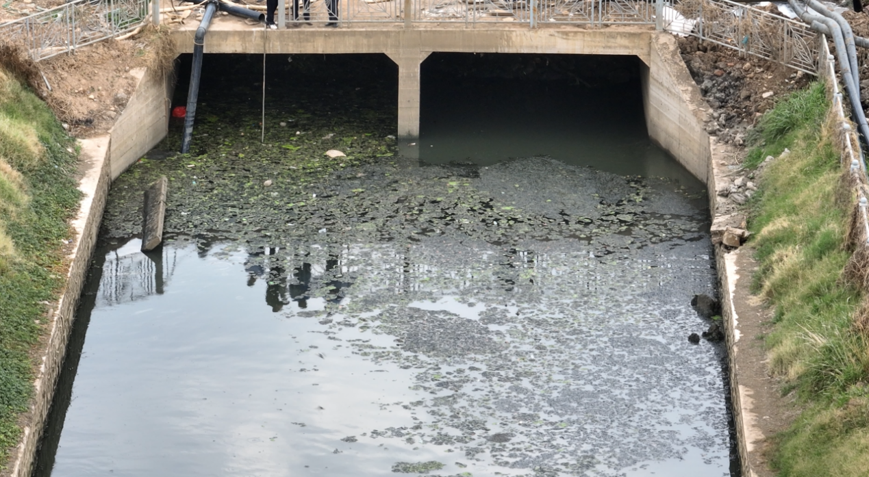 202405271216538394.png 202405271216538394.png