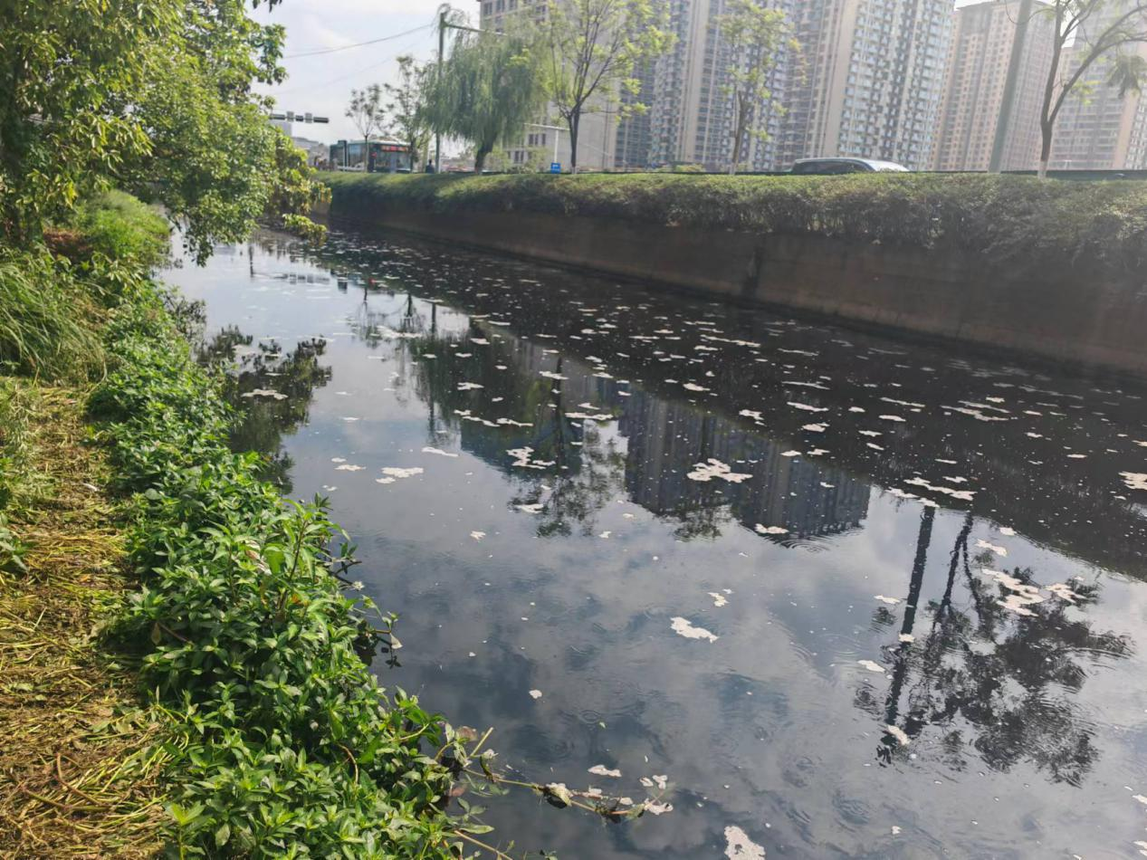 202406140734028566.png 202406140734028566.png