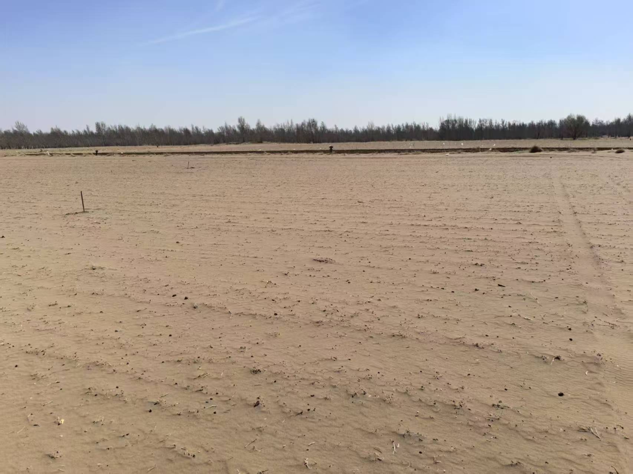 202506161052527144.png 202506161052527144.png