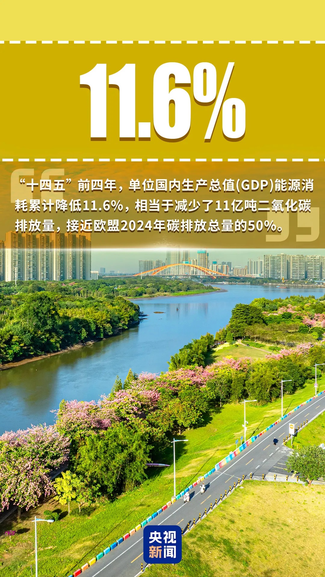 202508251056078777.jpg 202508251056078777.jpg